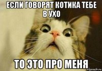 если говорят котика тебе в ухо то это про меня
