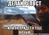 делай репост или он придет к тебе ночью