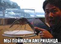  мы поймали американца