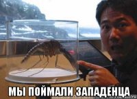  мы поймали западенца