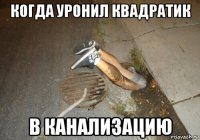 когда уронил квадратик в канализацию