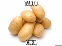такто сука