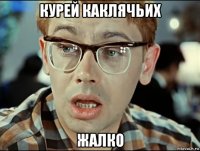 курей каклячьих жалко