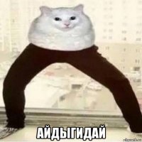  айдыгидай