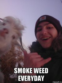  smoke weed everyday
