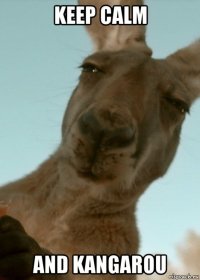keep calm and kangarou