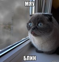 мяу блин