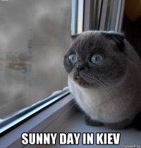  sunny day in kiev
