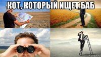 кот, который ищет баб 