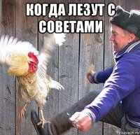 когда лезут с советами 