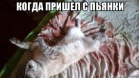 когда пришел с пьянки 