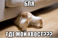 бля где мой хвост???