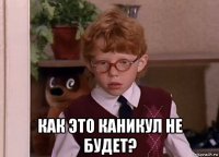  как это каникул не будет?