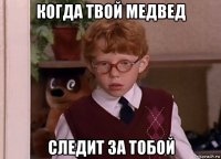 когда твой медвед следит за тобой