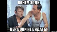 конём ходи век воли не видать!