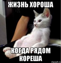 жизнь хороша когда рядом кореша