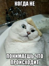 когда не понимаешь что происходит