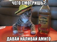 чего смотришь? давай наливай амиго