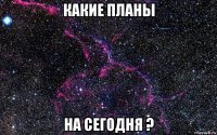 какие планы на сегодня ?