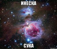 инеска сука