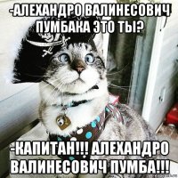 -алехандро валинесович пумбака это ты? -капитан!!! алехандро валинесович пумба!!!