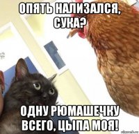 опять нализался, сука? одну рюмашечку всего, цыпа моя!