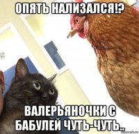 опять нализался!? валерьяночки с бабулей чуть-чуть..