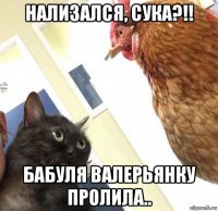 нализался, сука?!! бабуля валерьянку пролила..