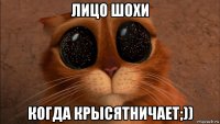 лицо шохи когда крысятничает;))