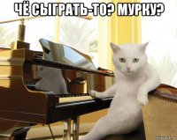чё сыграть-то? мурку? 