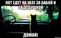 кот едет на уазе за бабой и за дедушкой домой!
