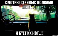 смотрю серию:(с волками жить...) и б"ет их кот...!
