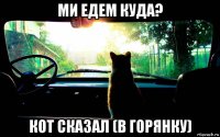 ми едем куда? кот сказал (в горянку)