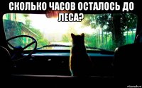сколько часов осталось до леса? 