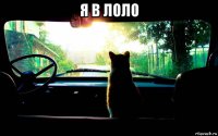 я в лоло 