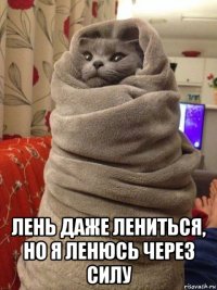  лень даже лениться, но я ленюсь через силу