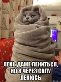  лень даже лениться, но я через силу ленюсь