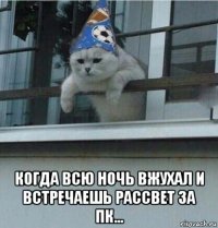  когда всю ночь вжухал и встречаешь рассвет за пк...