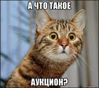 а что такое аукцион?