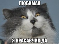 любимая я красавчик да