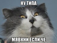 ну типа мявкни если че