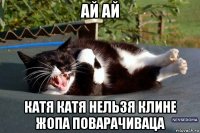 ай ай катя катя нельзя клине жопа поварачиваца