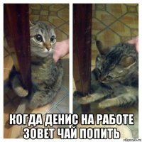  когда денис на работе зовет чай попить