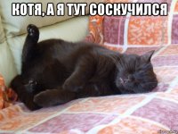 котя, а я тут соскучился 