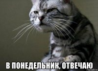  в понедельник, отвечаю