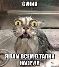 сукии я вам всем в тапки насру!!!