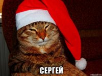  сергей