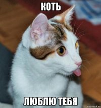 коть люблю тебя