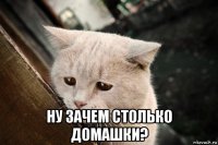  ну зачем столько домашки?