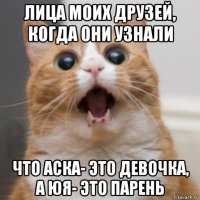 лица моих друзей, когда они узнали что аска- это девочка, а юя- это парень
